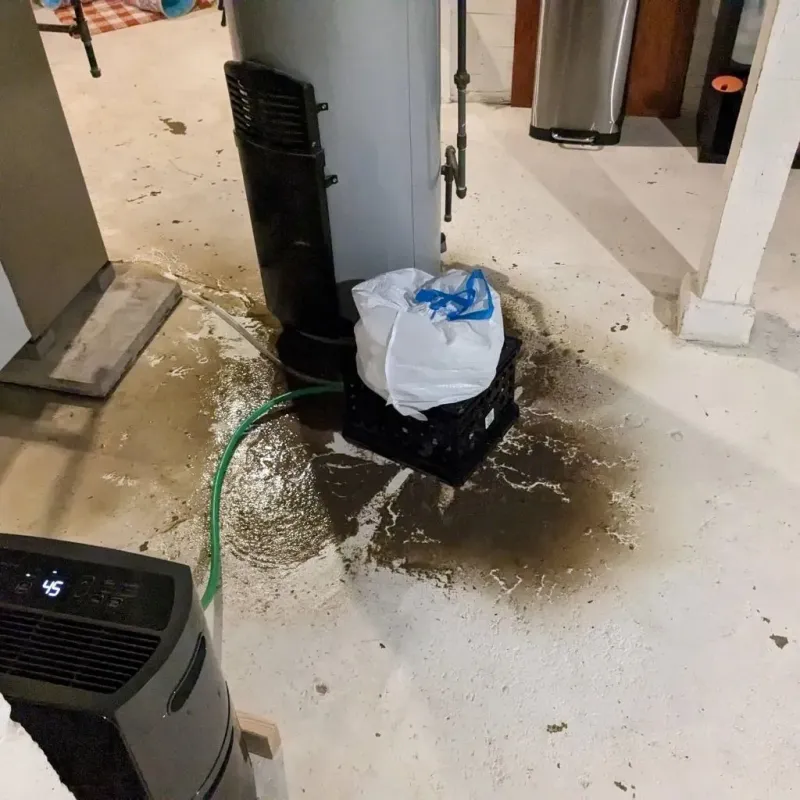 Sewage Backup Cleanup Service in Winterville, GA